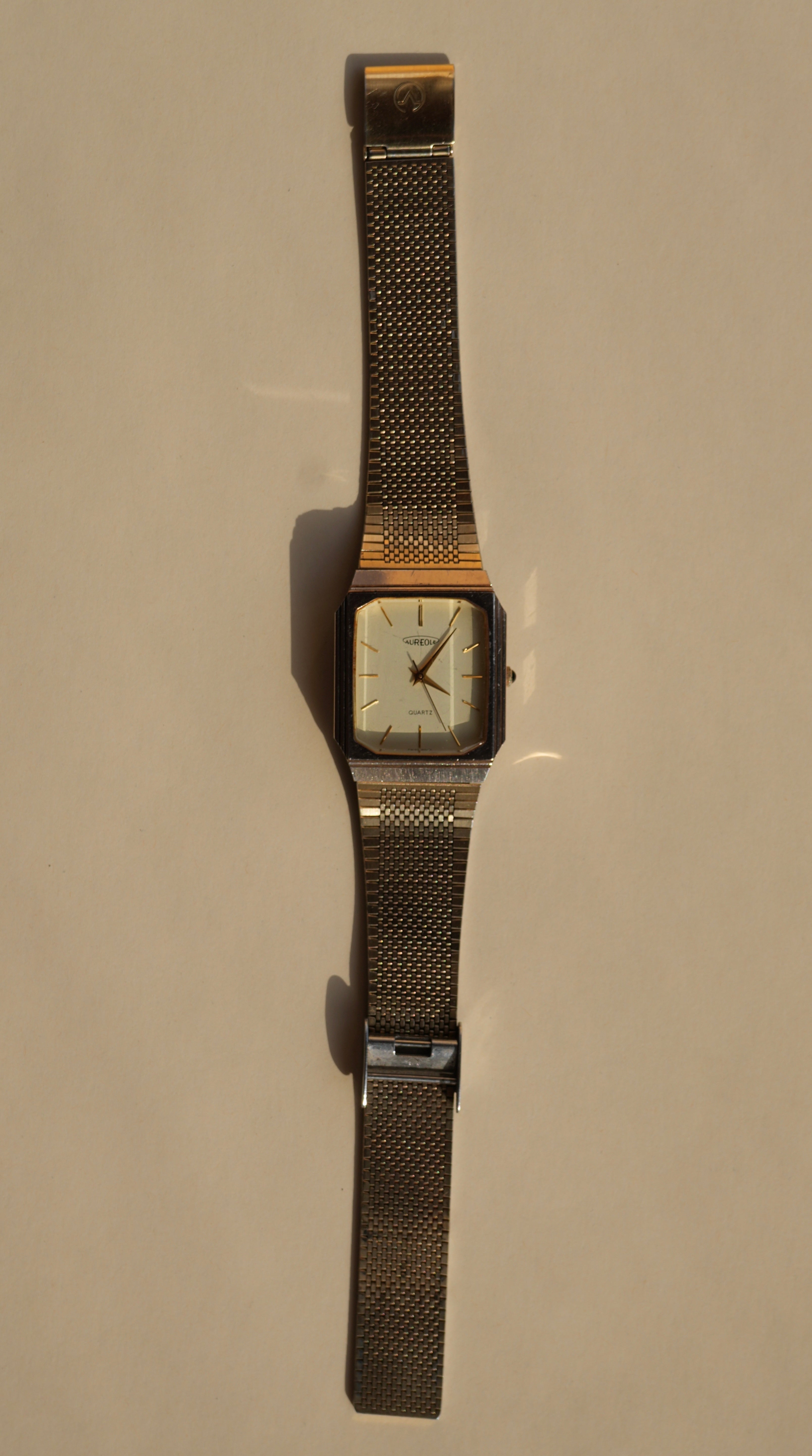 Aureole Swiss Watch